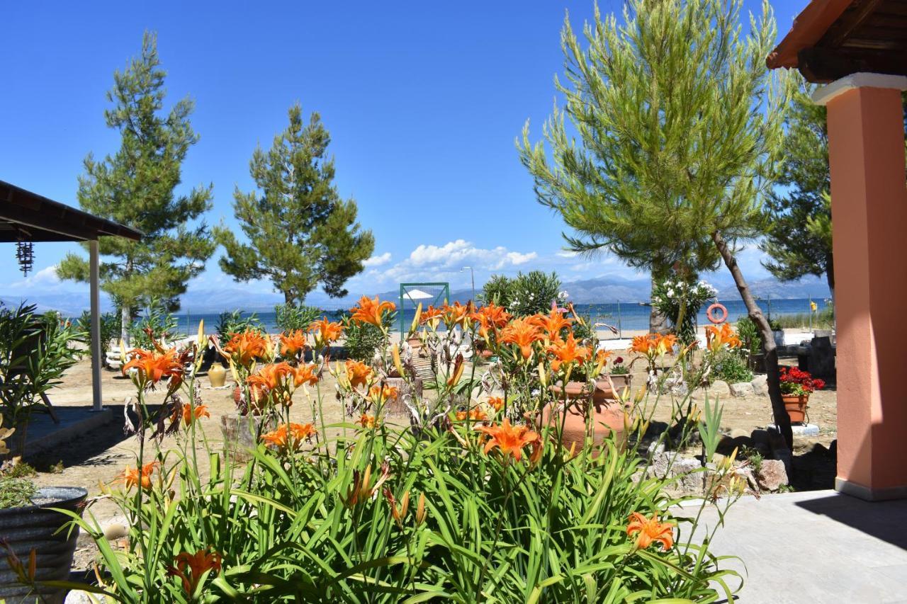 Bouka Beachfront Bungalows Agios Nikolaos  Exteriér fotografie